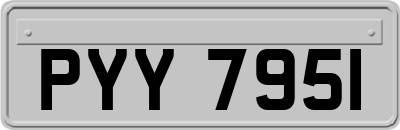PYY7951