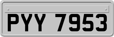 PYY7953