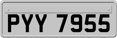 PYY7955