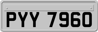 PYY7960