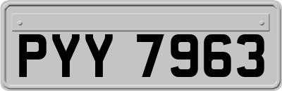 PYY7963