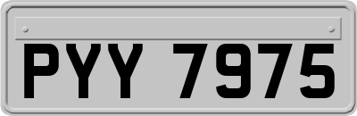 PYY7975