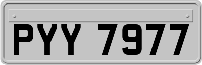 PYY7977