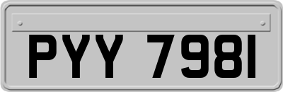 PYY7981