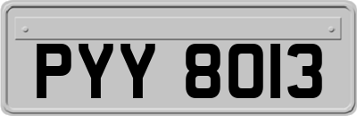 PYY8013