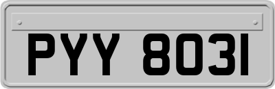 PYY8031