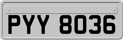 PYY8036
