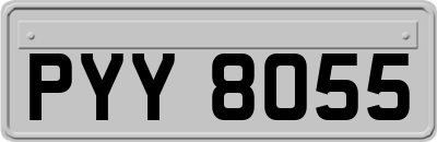 PYY8055