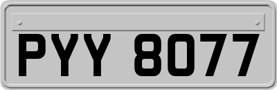 PYY8077