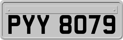 PYY8079