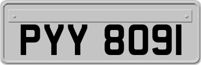 PYY8091