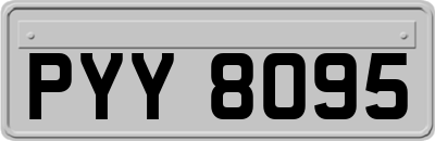 PYY8095