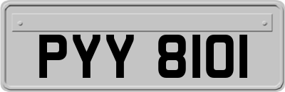 PYY8101