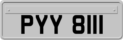 PYY8111