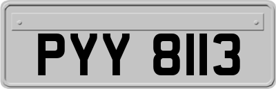 PYY8113