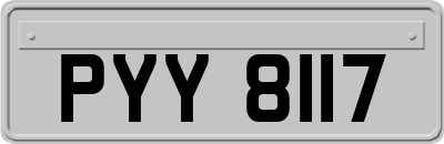 PYY8117