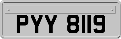 PYY8119