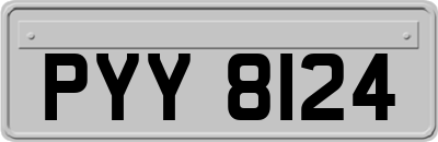 PYY8124