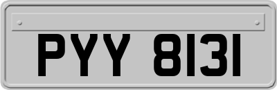 PYY8131