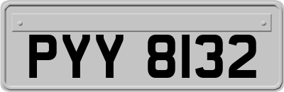 PYY8132