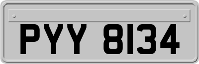 PYY8134