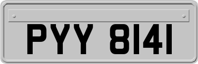 PYY8141