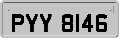 PYY8146