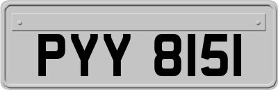 PYY8151