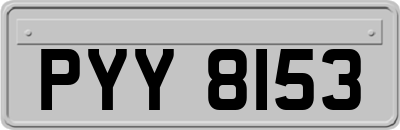 PYY8153