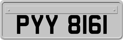 PYY8161