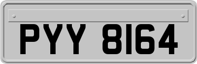 PYY8164