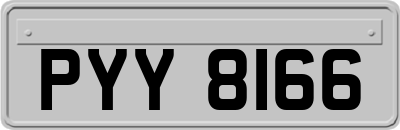 PYY8166