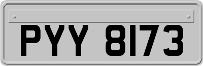 PYY8173