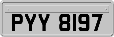 PYY8197
