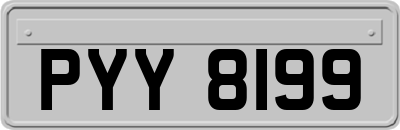 PYY8199