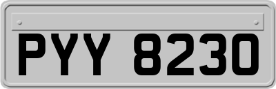 PYY8230