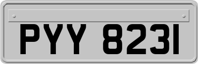 PYY8231