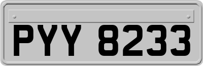 PYY8233