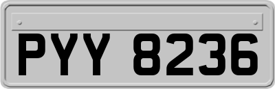 PYY8236