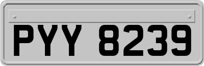 PYY8239