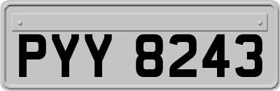 PYY8243