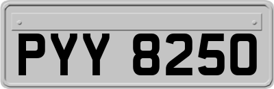 PYY8250