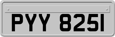 PYY8251