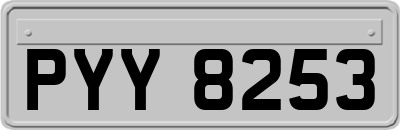 PYY8253