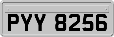 PYY8256
