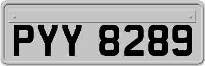 PYY8289