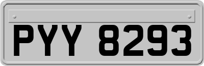 PYY8293