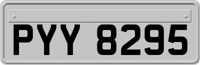 PYY8295