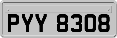 PYY8308
