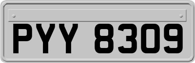 PYY8309